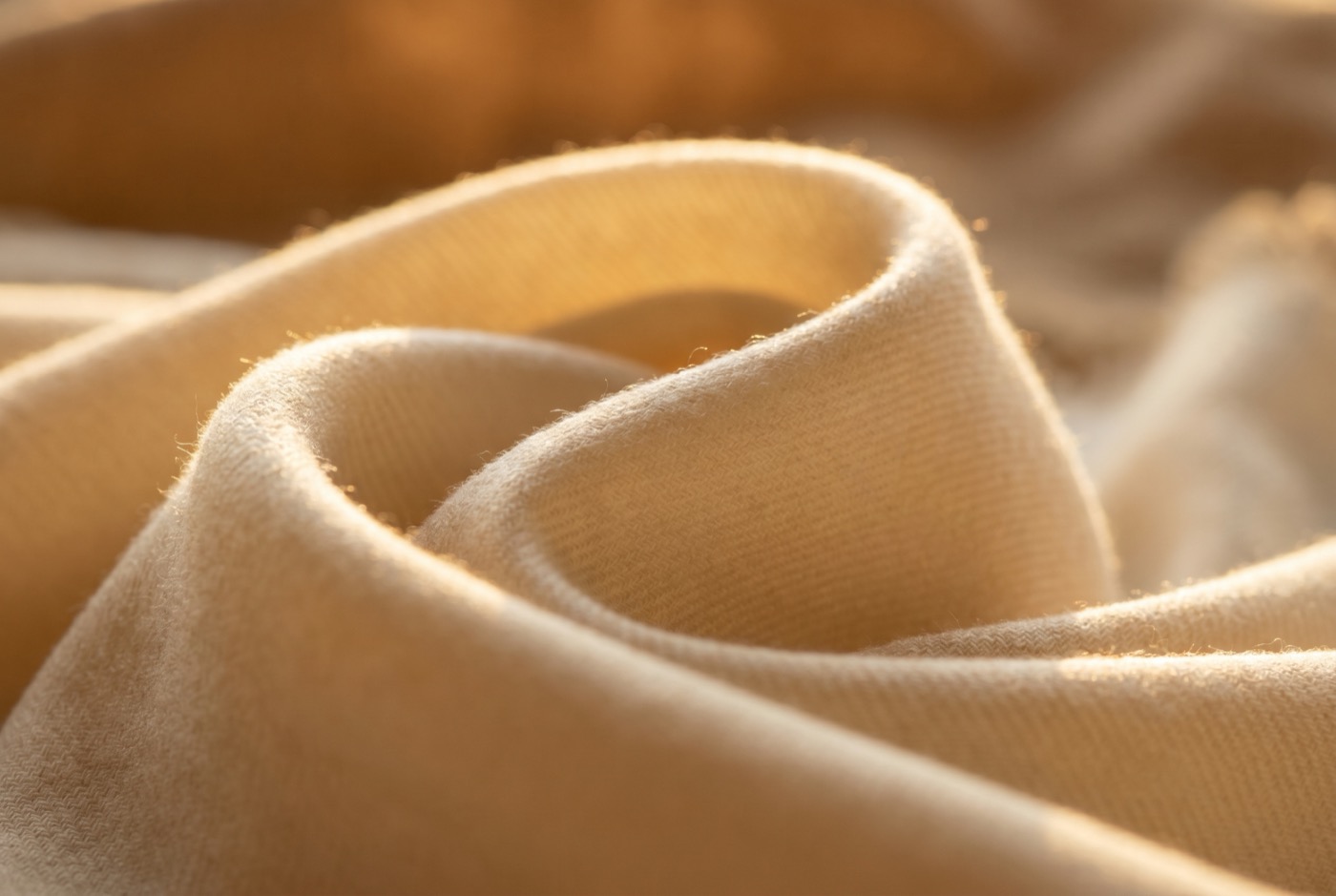 Macro photograph of the Noorbaft weave, sunlight glowing through the threads